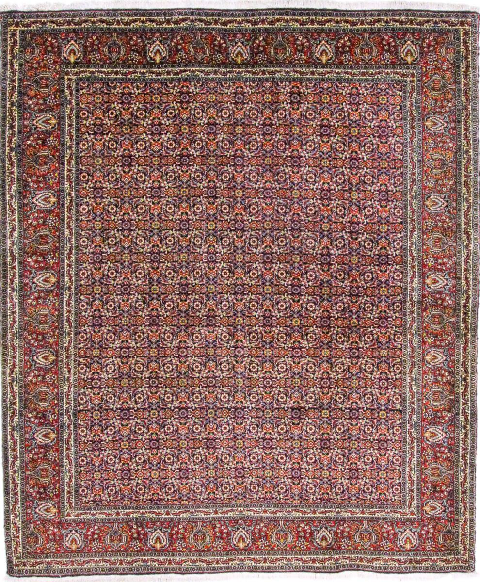 Bidjar 245x205 cm