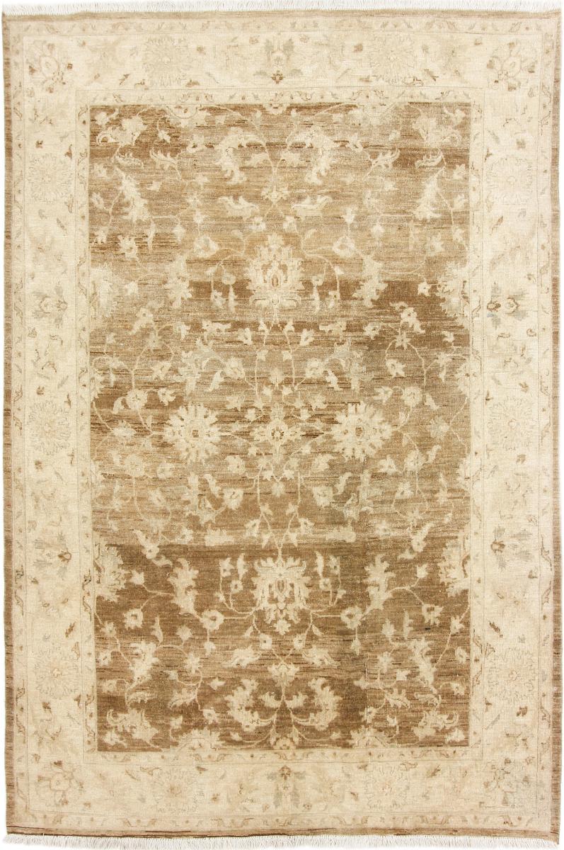 Ziegler Gabbeh 256x171 cm