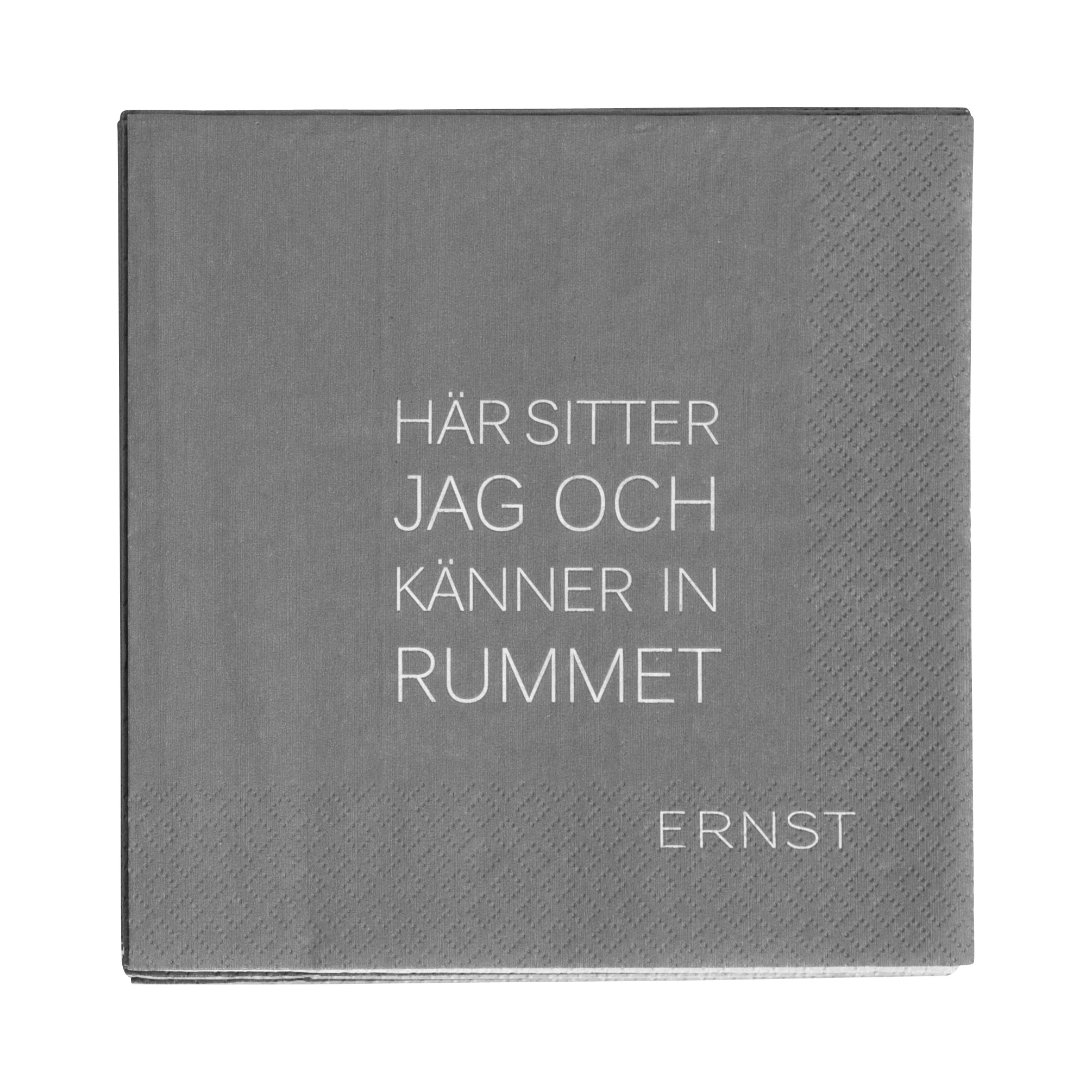 Servilleta con cita Ernst Tid-Rum, set de 20 gris