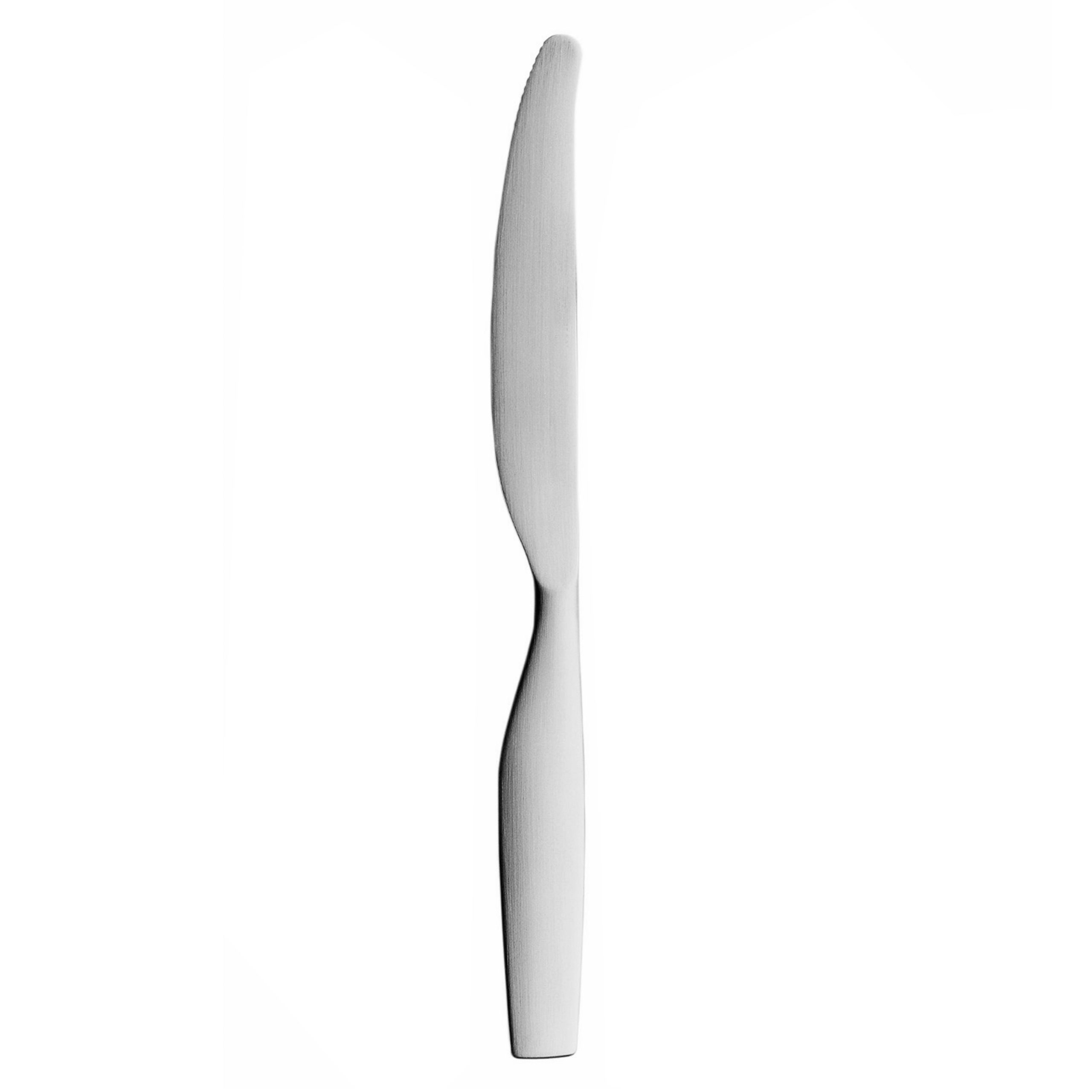 Cuchillo de mesa Citterio 98 acero inoxidable mate