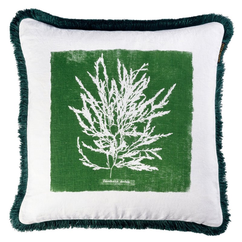 ALGAE I CUSHION