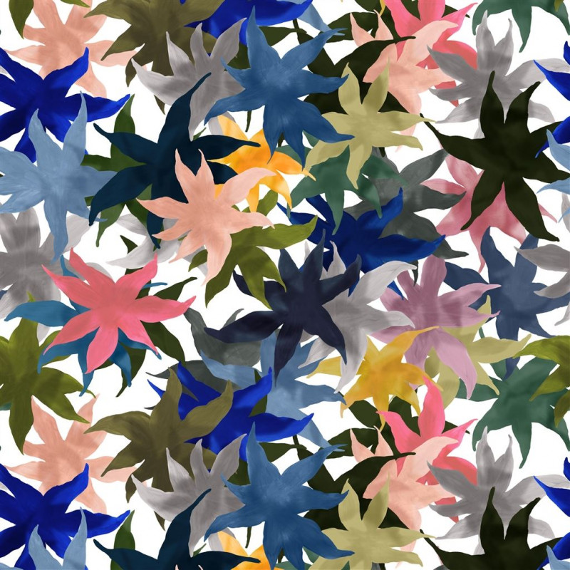 IRIS DES MARAIS ARMURE