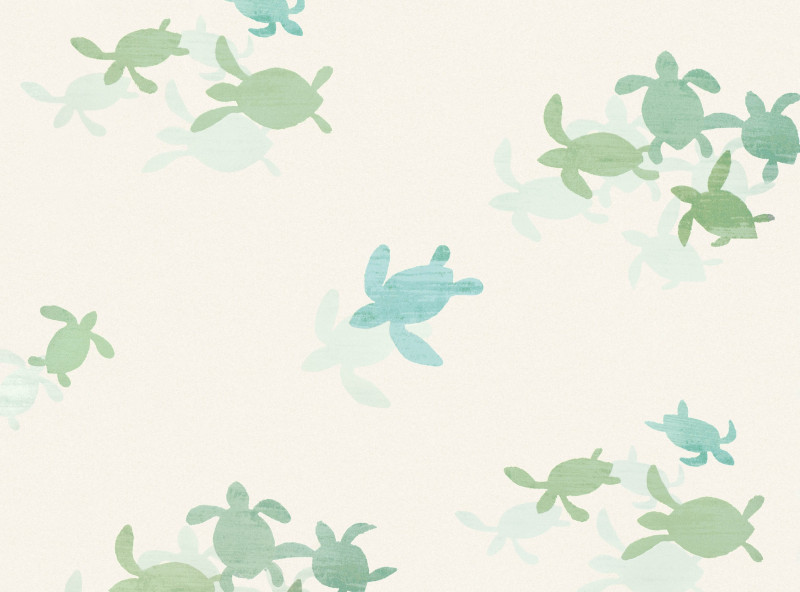 Tiny Turtles Wallcovering