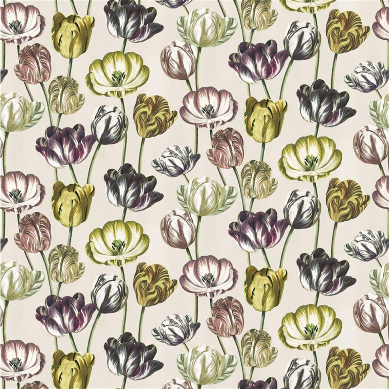 Variegated Tulips